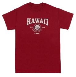 Vintage Dyed Tee - Collegiate: Wine