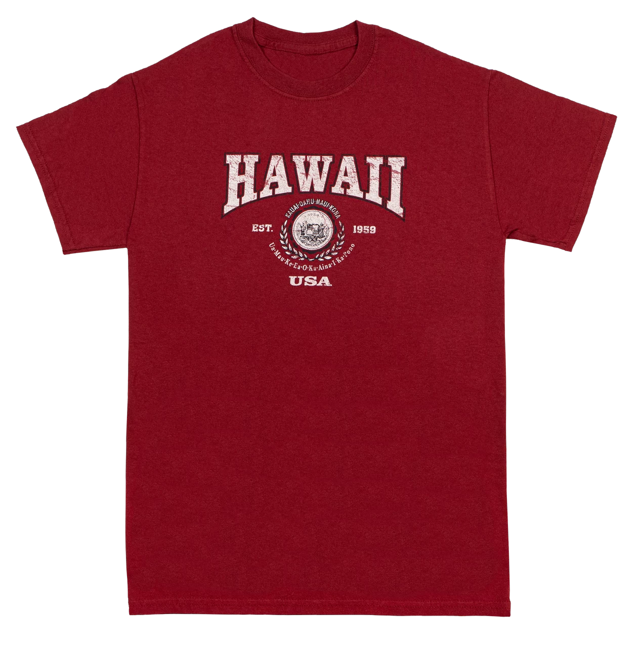 Vintage Dyed Tee - Collegiate: Wine