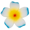 Single Plumeria Clip: Blue