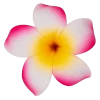 Single Plumeria Clip: Pink