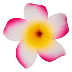 Single Plumeria Clip: Pink
