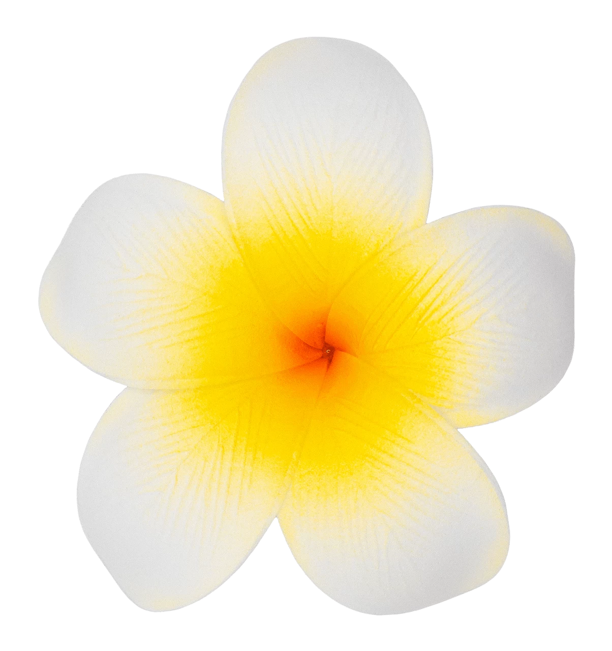Single Plumeria Clip: White