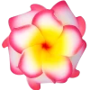 Small Double Plumeria Clip: Pink