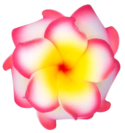 Small Double Plumeria Clip: Pink