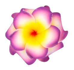 Small Double Plumeria Clip: Purple