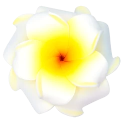 Small Double Plumeria Clip: White