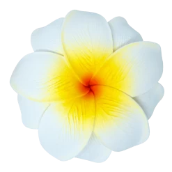 Medium Double Plumeria Clip: White