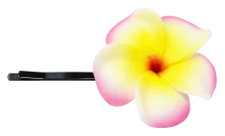 Plumeria Flower Bobby Pins: Pink