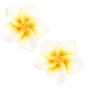 Medium Plumeria Stud Earrings: White